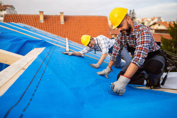 Best Chimney Flashing Repair  in Carnesville, GA