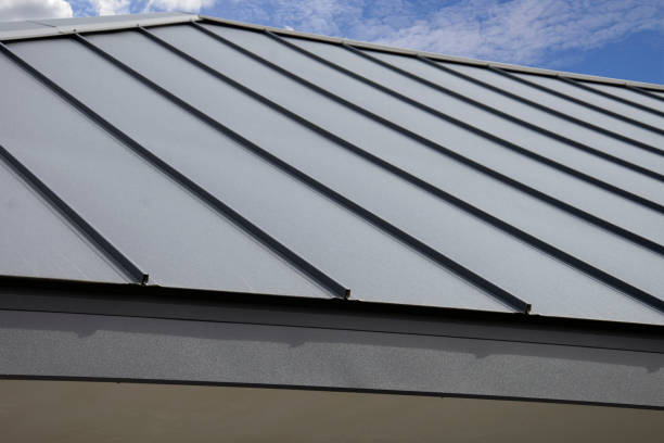 Best Commercial Roofing Services  in Carnesville, GA